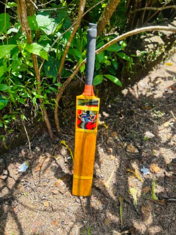 Hard Ball Cricket Bat