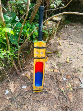 Hard Ball Cricket Bat