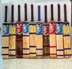 Hard Ball Cricket Bat